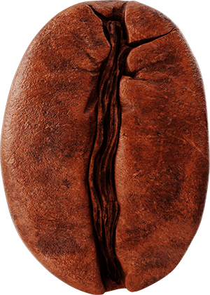 Coffee Bean